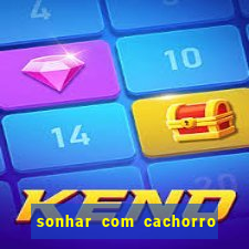 sonhar com cachorro sem cabeca